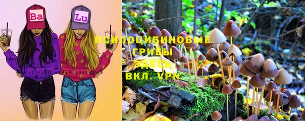 СК Абдулино