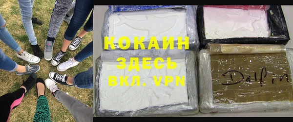 соль ск Абаза