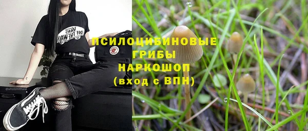 СК Абдулино