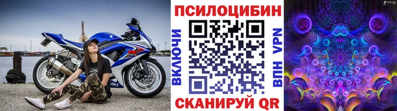 где продают наркотики  Лиски  Псилоцибиновые грибы Psilocybe 